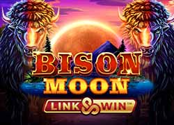 bison casino aplikacja