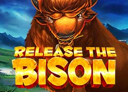bison casino kod promocyjny bez depozytu